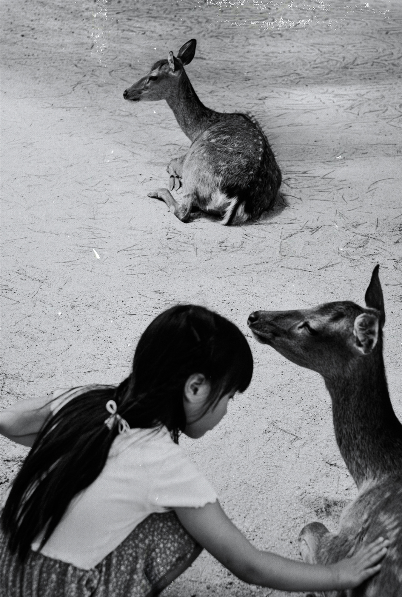 Made in Japan - Alex Kat