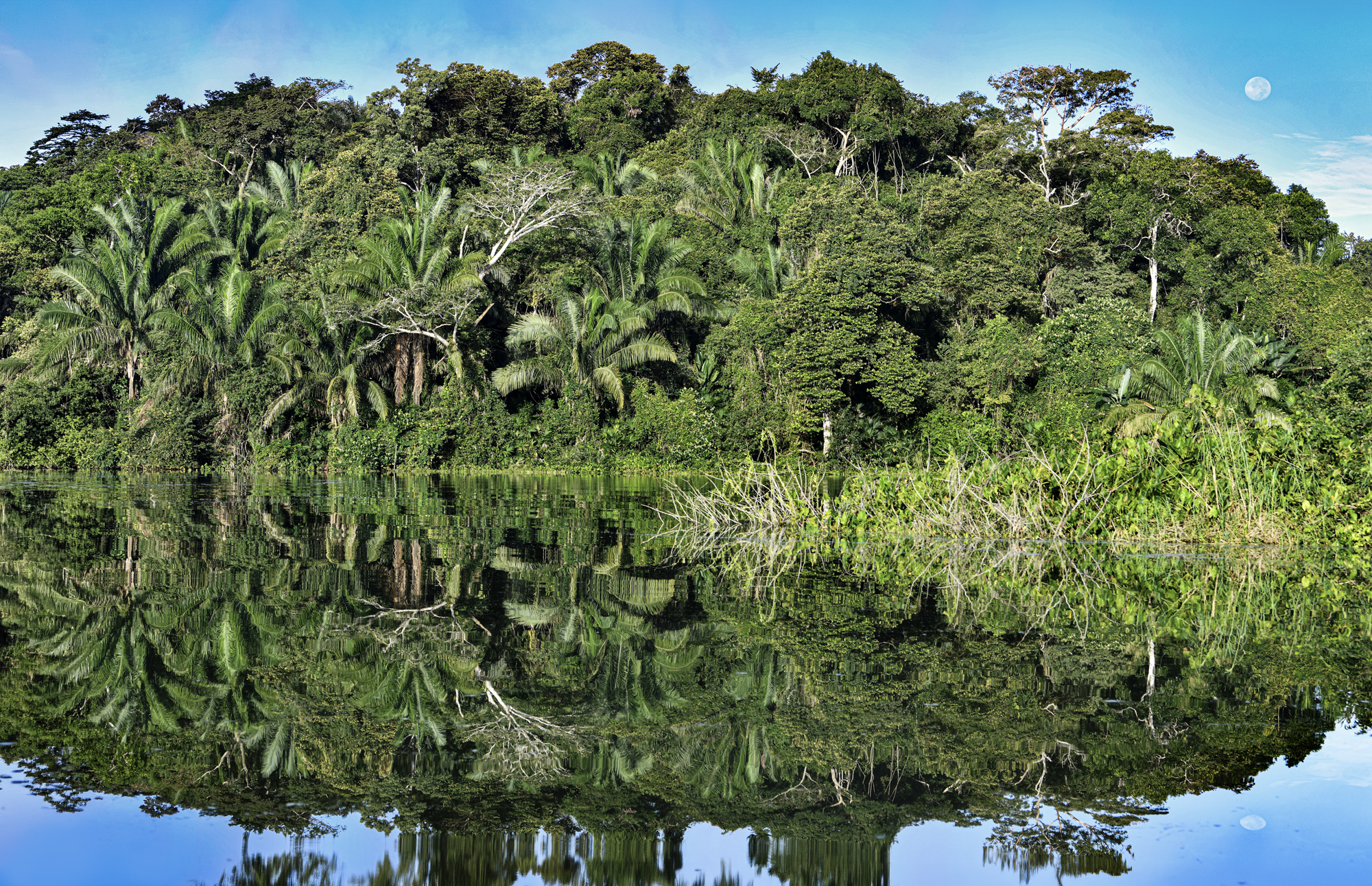 PANAMΑ: Nature & Tribes Under Pressure | Alex Kat