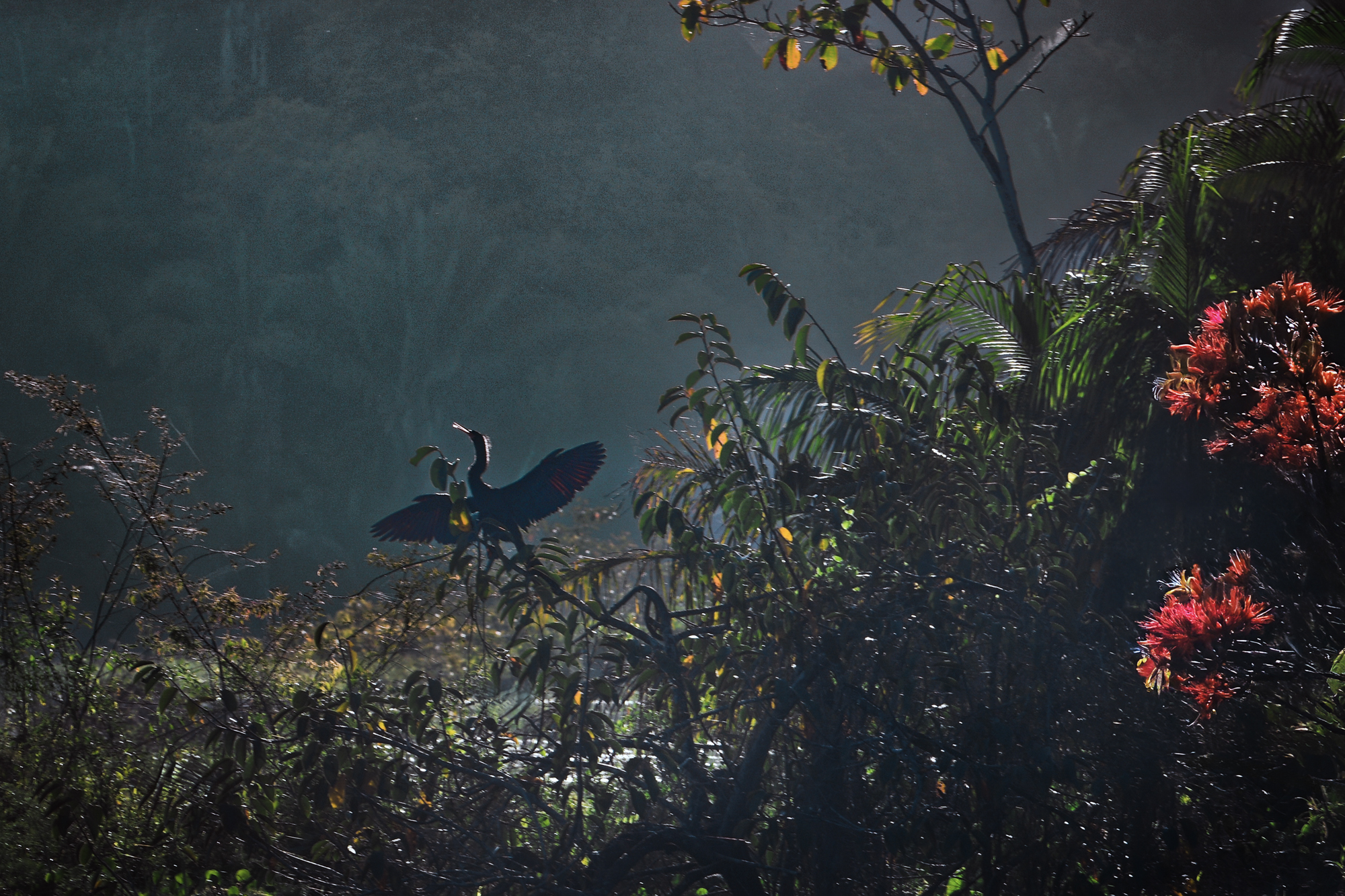 PANAMΑ: Nature & Tribes Under Pressure | Alex Kat